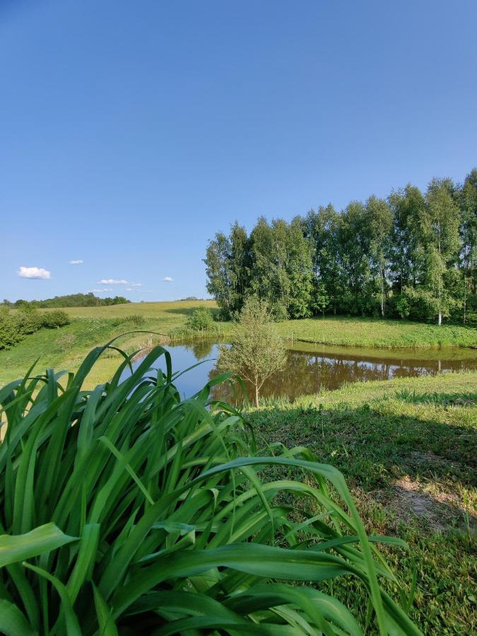 Villa Zalioji Paduyelis Exterior foto