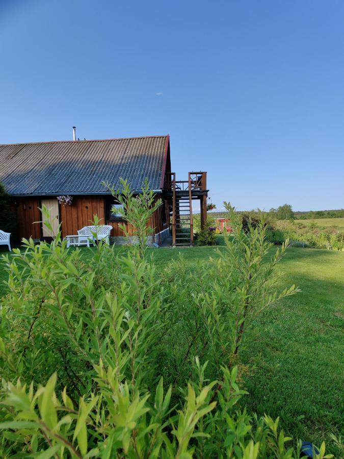 Villa Zalioji Paduyelis Exterior foto