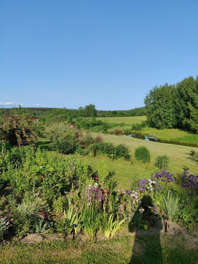 Villa Zalioji Paduyelis Exterior foto