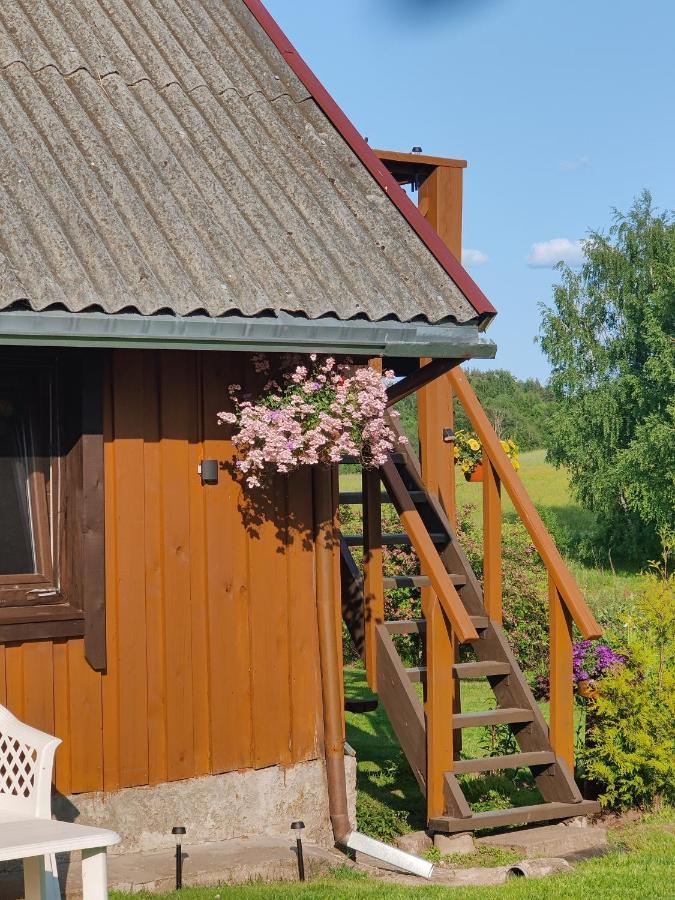 Villa Zalioji Paduyelis Exterior foto