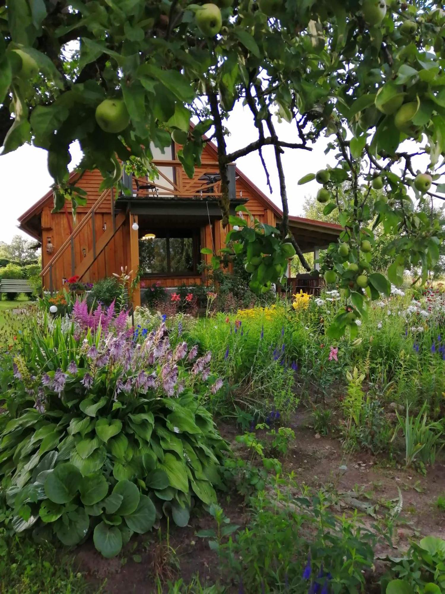 Villa Zalioji Paduyelis Habitación foto